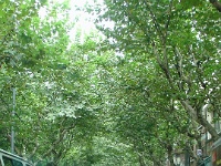 DSC02649