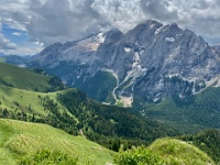 IMG 4646