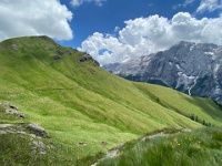 IMG 4658