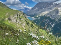 IMG 4678