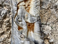 IMG 4717