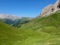 IMG 4752