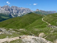 IMG 4764