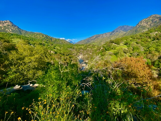 IMG 7867