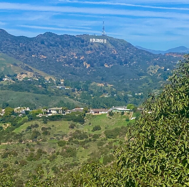IMG 7953