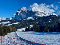 IMG 7531
