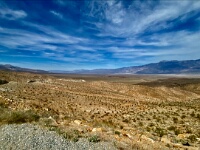 IMG 7765