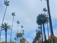 IMG 7963